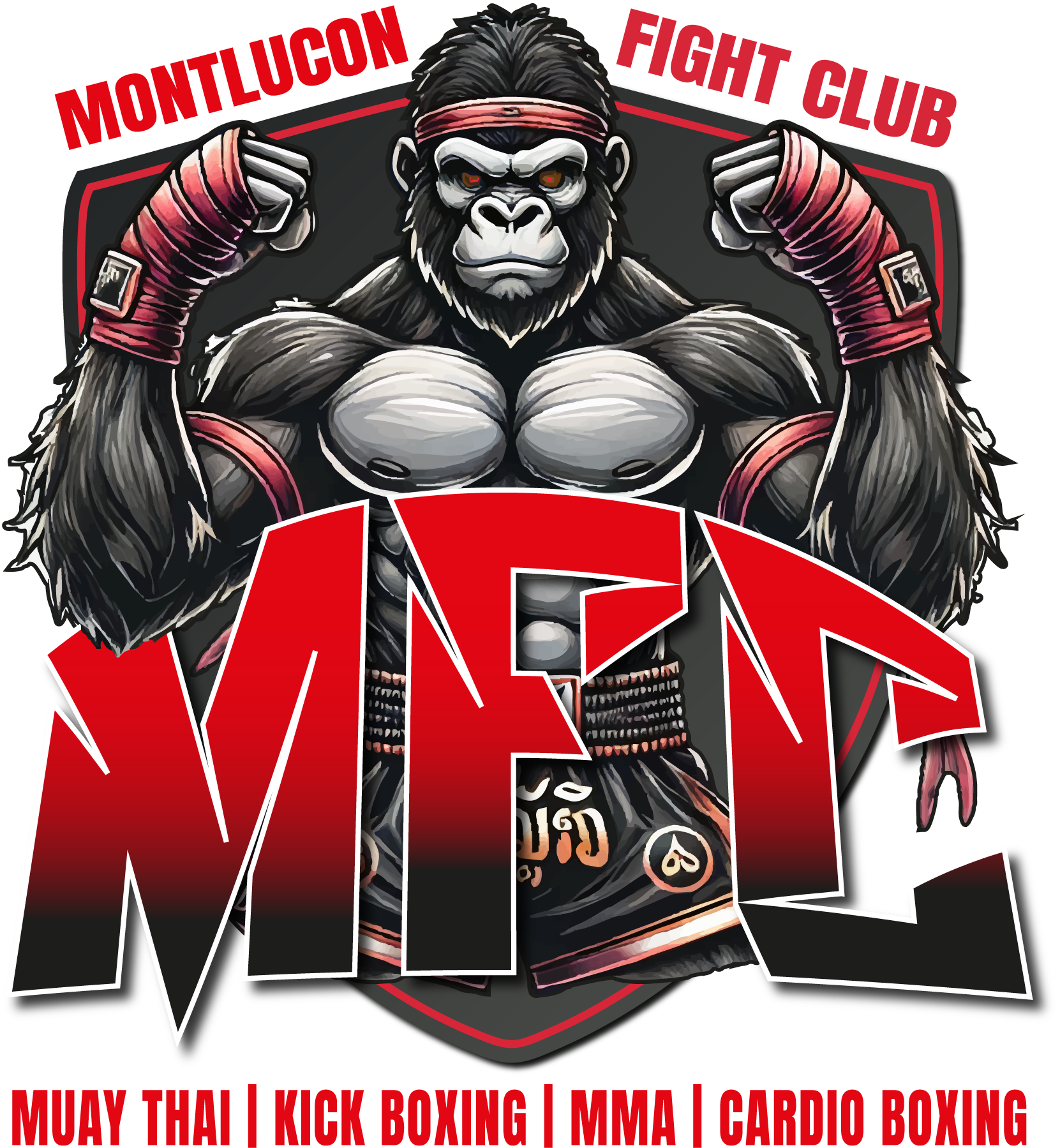MFC Fight Club : ouverture du club et début des inscriptions