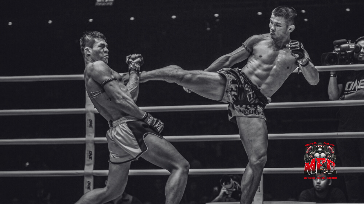 Muay Thai - Middle kick (coup de pied médian)